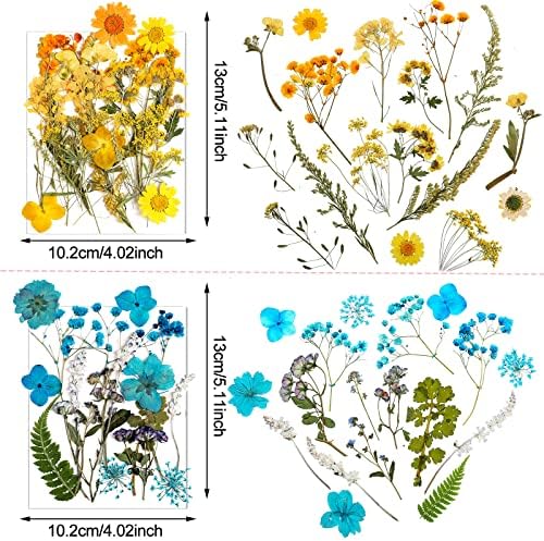 Nuanchu Dried Pressed Flowers for Resin,Delicate Style,Bright Colors
