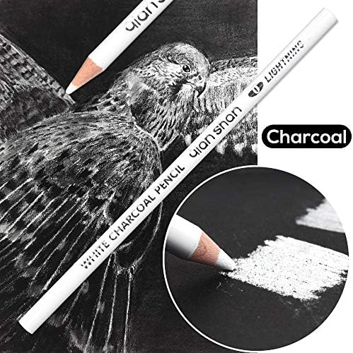 qianshan 2 Pcs Black White Color Charcoal Pencils, Professional Hight Quality Sketch Highlight Charcoal Wooden Pencils for Artist Drawing, Sketching, Blending, 2 Colors of 1 Black, 1White