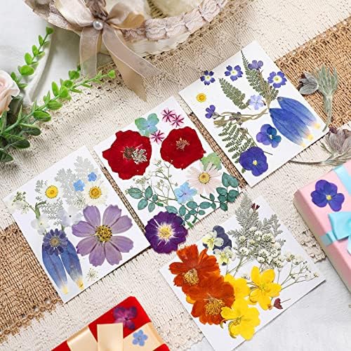 Nuanchu Real Dried Pressed Flowers Wildflowers for Resin Mold Craft DIY