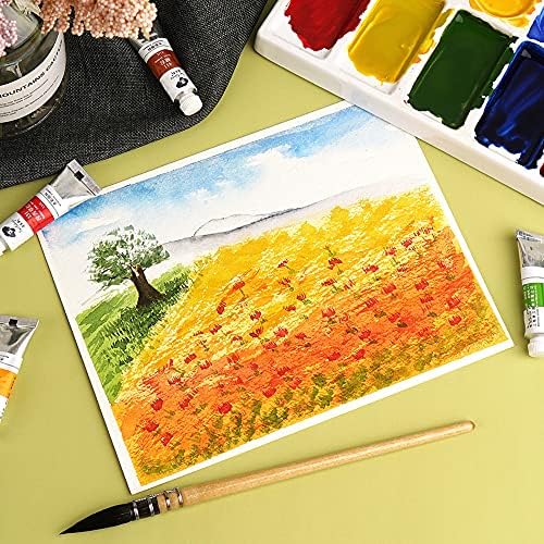 Paul Rubens Watercolor Paint, 24 Vibrant Colors Highly Pigmented, 5ml Tube