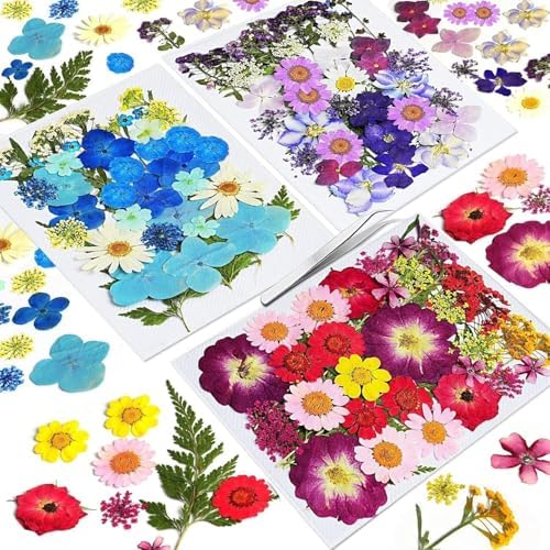 Dried Flowers for Resin 120pcs Natural Flowers and Leaves
