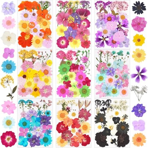 190Pcs Dried Pressed Flowers for Craft,Xinxinran Dry Flower Kit for Resin