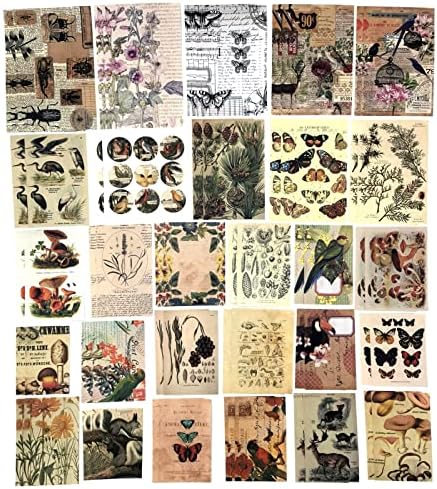 Esweny 200 Pieces Vintage Ephemera Scrapbooking Supplies Pack for Journaling, Decoupage Paper Scrapbook Stickers Kit for Junk Journal Planners Collage Craft Notebooks Album (Forests)