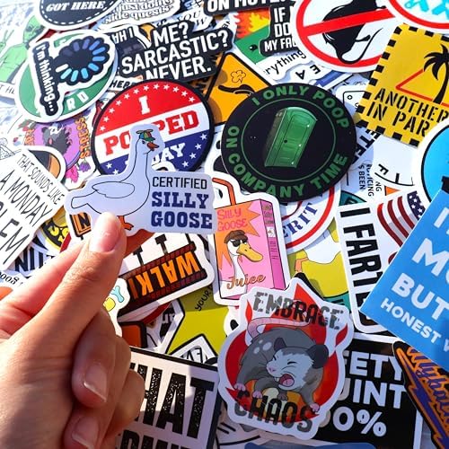 200 Pcs Funny Stickers for Adults (Dirty) by Puraesla - Meme Water Bottles Sticker Pack Waterproof Cool Accesory for Laptop, Hard Hats, Sarcastic, Scrapbooking Decals