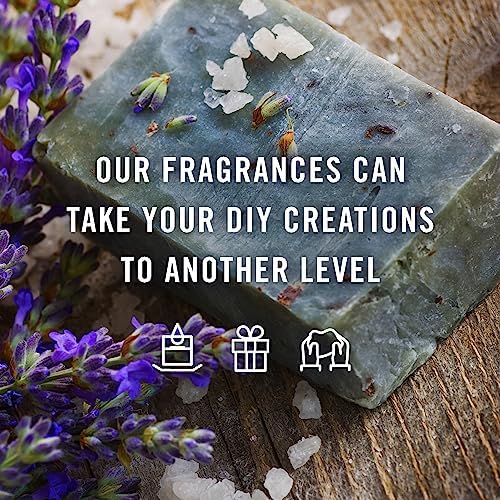 P&J Trading Fragrance Oils for Diffusers for Home Cookies & Cakes Set Fragrance Scents for Candle Making - Soap Making - Car Diffuser Scents - Essential Home Gift Set - Sugar Cookie & More