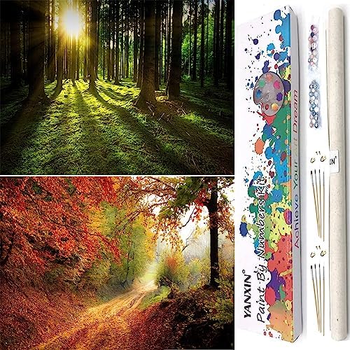 YANXIN Paint by Numbers Kit for Adults Beginners 2 Pack Paint by Numbers for Adults Rolled up Canvas for Home Decoration Creative Wall Art with Colorful Gift Box 12x16 inch Forest Sunrise 175-176