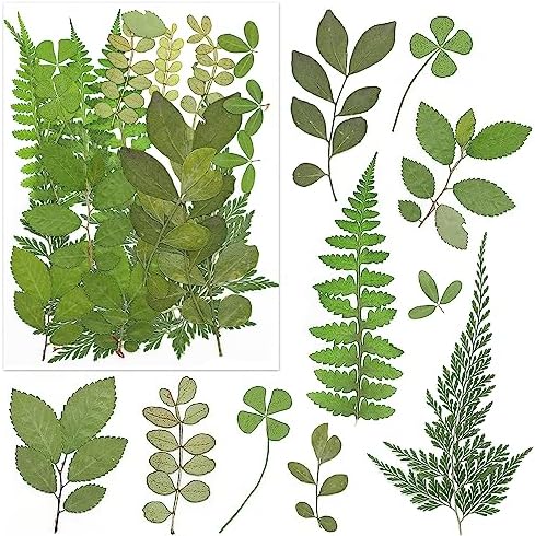 170Pcs+ Real Dried Pressed Flowers Leaves Petals for Crafts-Beautiful Pressed Flowers Daisies for Resin Jewellery, Pressed Flowers Nail Pendant Crafts Making Craft DIY Accessories with 1pcs Tweezers