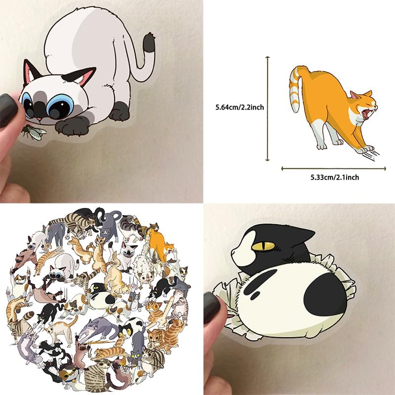 50Pcs Cartoon Cat Scratch PET Stickers