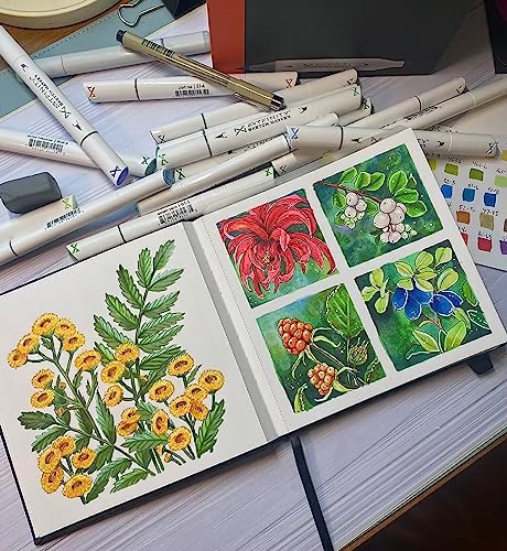 Artfinity Sketch Markers - Set of 3 - Pale Jade BG9-2, Vibrant, Professional, Dye-Based Alcohol Markers for Artists, Drawing, Travel, & More