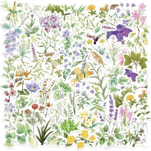 50 Pack Boho Wildflower Transparent Stickers - Waterproof PET Scrapbook Stickers for Journal, Guitar, Laptop, Phone Case - Ins Aesthetic Botanical Decals