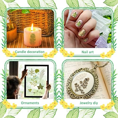 Timtin 84 Pcs Dried Pressed Leaves Flowers for Resin, Vivid