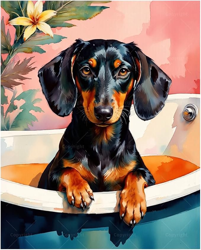 Animal Paint by Numbers Kit for Adults - DIY Dachshund Dog in Bathtub Painting on Canvas, Acrylic Paint Set, Suitable for Beginners, Art for Home Decoration or Gifts(8X12IN Framed)