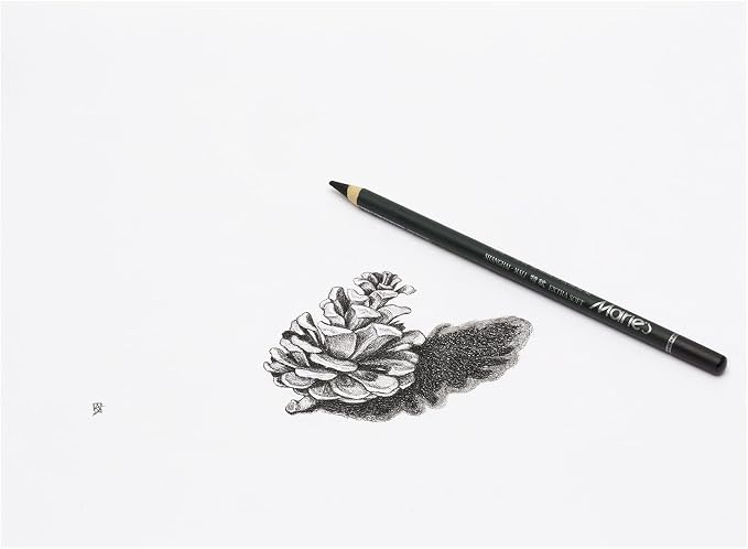 Marie's Artist Charcoal Pencil 12 Piece Set, Extra-Soft Black Paper Handle Charcoal Pencils for Drawing and Sketching