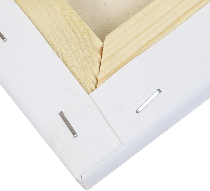 Art Advantage Artist Canvas Visual Edge 18x24, Stretched Canvas for Painting, Blank Canvas for Acrylics & Oils, Canvases for Artists, Professional Pre-Stretched Canvas