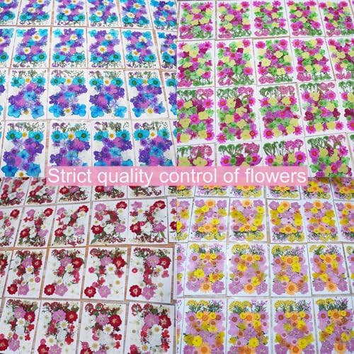 141Pcs Colorful Dried Pressed Flowers for Crafts,Xinxinran Dry Flowers Kit for Resin Molds,Epoxy Resin Accessories,Bookmark,Nails, Jewelry Molds,Candle Making Supplies,Soap,Frame(Mix Color)