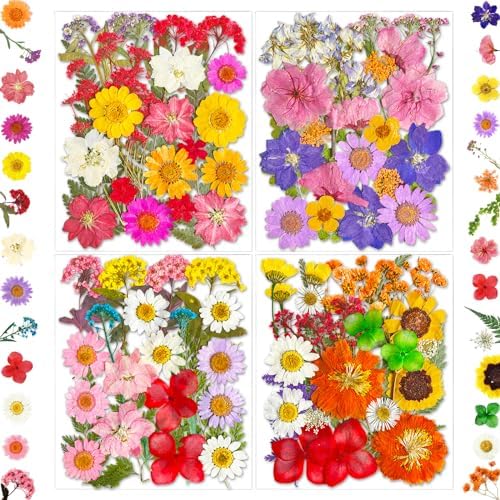 MIKIYA 101Pcs Pressed Dried Flowers for Resin Molds, Real Natural Bulk Dry Floral Leave for DIY Art Crafts, Epoxy Jewelry, Candle, Soap Making, Nails Decors