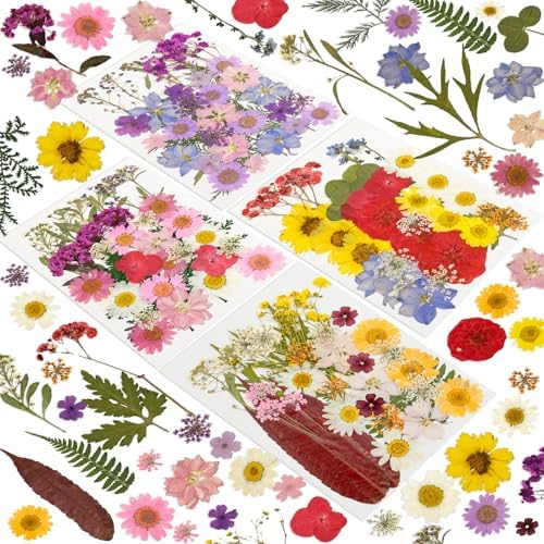 240 Pcs Dried Pressed Flowers for Resin Crafts, Real Natural Pressed Flowers and Leaves Kit Butterfly Stickers Vacuum Sealed Dry Flowers for DIY Epoxy Resin Jewelry Molds, Candle Soap Making, Nail Art