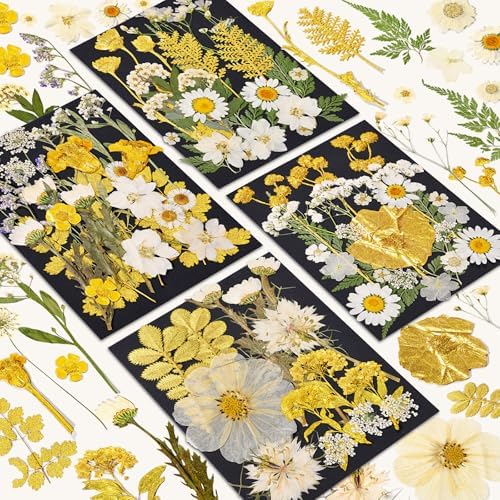 85 Pcs Dried Flowers for Crafts