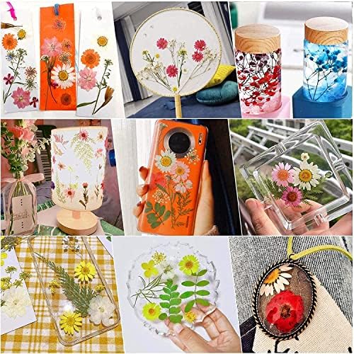 Cayway 40 Pcs Real Pressed Flowers Dry with Tweezers Set, Dried Flowers for Resin Scrapbooking DIY Art Crafts, Epoxy Resin Jewelry, Soap Making