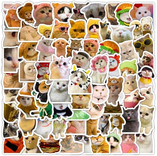 DothRayan Cat Stickers, 100 Pcs Fun Cat Waterproof Stickers, Vinyl Stickers for Water Bottle, Laptop, Phone Stickers for Kids Teens Girls Adults