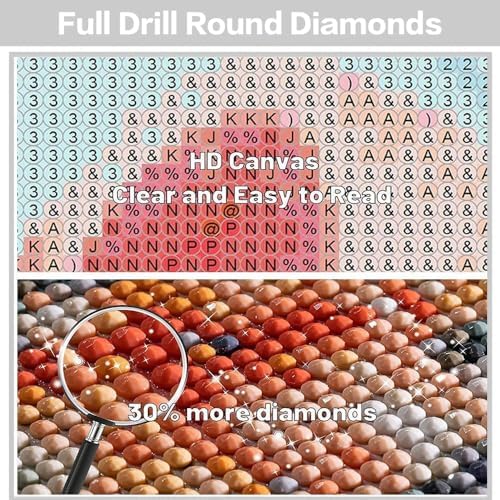 WNPOKN Christmas Gnome Diamond Art Kits for Adults 14 x 14inch