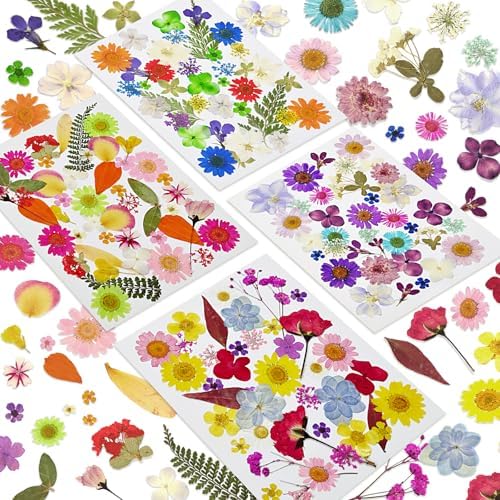 150 Pcs Pressed Flowers Bulk Dried Flower for Crafts