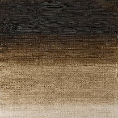 Winsor & Newton Artists' Oil Paint, 37ml Tube, Raw Umber (Green Shade)