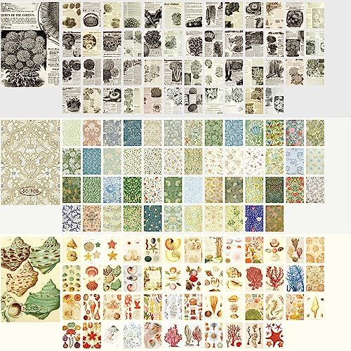 9 Sets 450 Sheets Washi Stickers for Journaling, Plants Fruit Flowers Butterfly Shell Boho Stickers Vintage Aesthetic Scrapbook Sticker for Bullet Journal Art Diary Card Craft Gifts Planner Notebook
