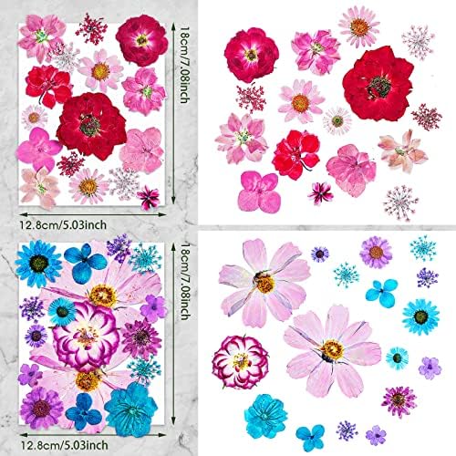 Nuanchu Natural Large Dried Pressed Flowers for Craft Resin DIY