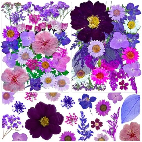MIKIYA 54Pcs Purple Pressed Dried Flowers for Resin, Real Natural Bulk Assorted Dry Floral Leaves for DIY Art Crafts, Epoxy Molds, Jewelry, Soap, Candle Making, Nails Decors