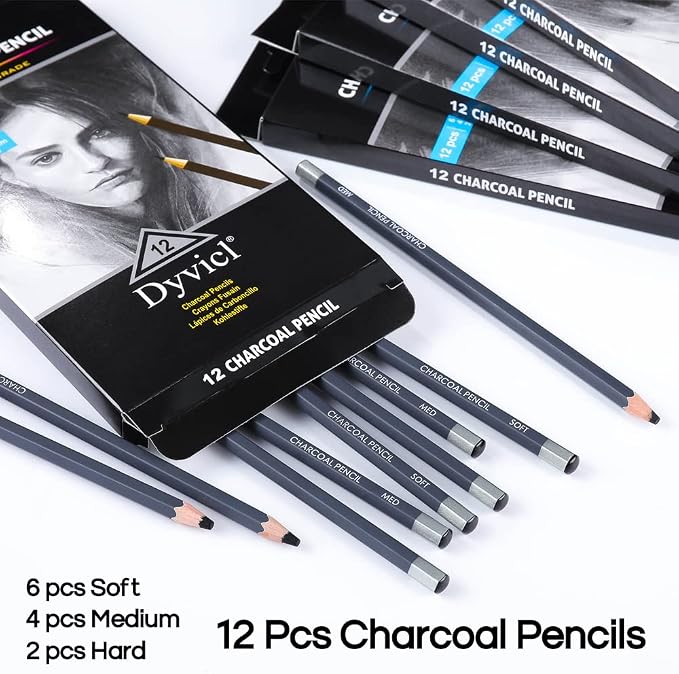 Dyvicl Professional Charcoal Pencils Drawing Set - 12 Pieces Soft Medium and Hard Charcoal Pencils for Drawing, Sketching, Shading, Artist Pencils for Beginners & Artists