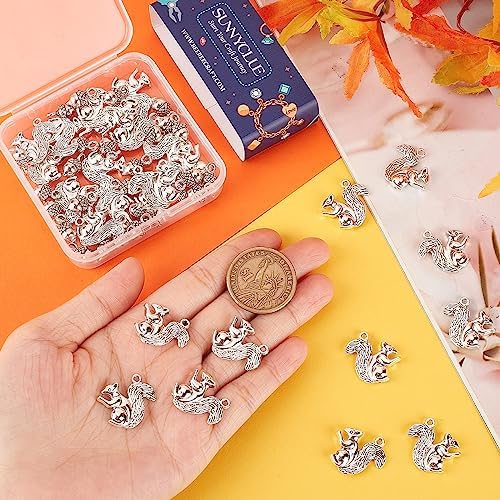 SUNNYCLUE 1 Box 60Pcs Squirrel Charms Thanksgiving Charm Pine Cone Charms Bulk Harvest Tibet Style Alloy Fall Autumn Pendants for Jewelry Making DIY Christmas Gift Earrings Bracelet Crafts