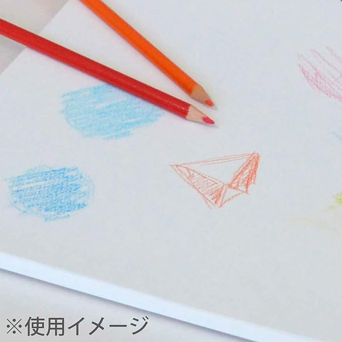 Maruman S253X60 Sketchbook, B5 Drawing Series, Tenori Binding, Drawing Paper, Medium Mouth, 50 Sheets, 60 Pieces
