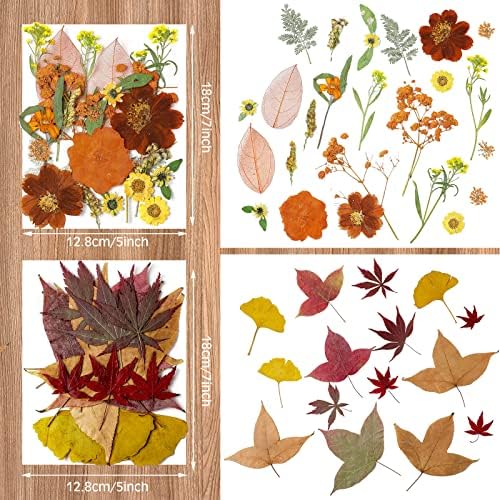 Nuanchu Fall Natural Dried Flowers Pressed for Crafts Resin Molds DIY Suppy
