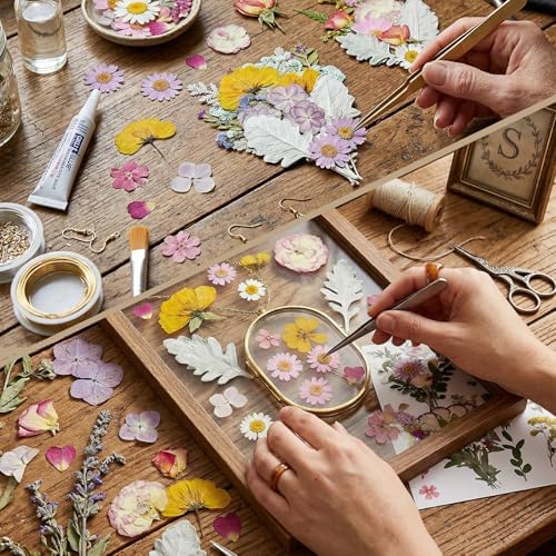 Dried Pressed Flowers Real Natural