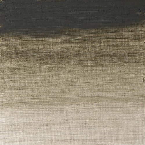 Winsor & Newton Artists' Oil Paint, 37ml Tube, Davy's Gray