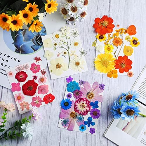 Nuanchu Natural Large Dried Pressed Flowers for Craft Resin DIY