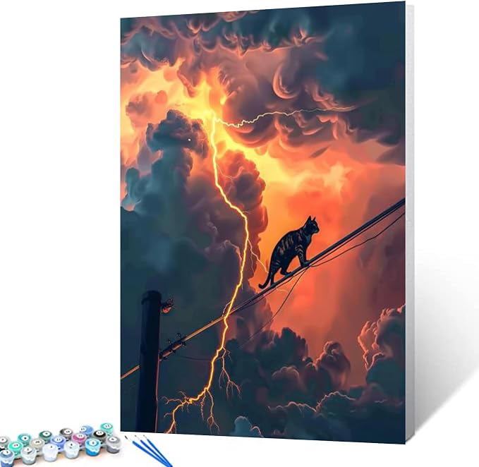 DIY Paint by Numbers for Adults Cat Walk on the Electric Wire DIY Digital Oil Painting Acrylic Paint Cloud Layer Lightning Painting Kits Wall Art Fantasy Scene Room Decor 16x20 Inch（DIY Frame ）