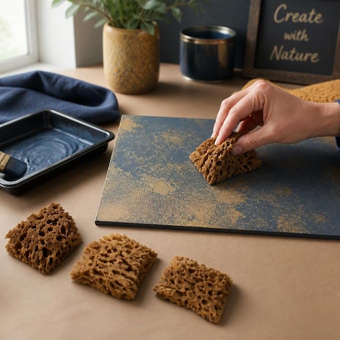 Natural Sea Sponges 10pk for Artists, 2"-4" Unbleached, Painting & Crafts