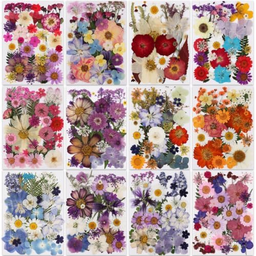 420 Pcs Dried Pressed Flowers for Resin,Bulk Natural Real Dried Flowers