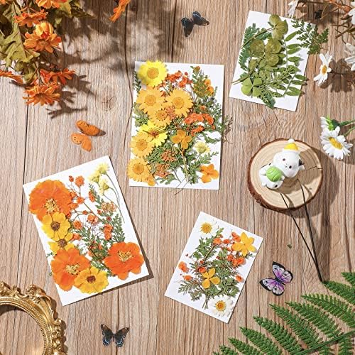 Nuanchu Real Dried Pressed Flowers for Craft Resin Molds DIY, Orange Yellow
