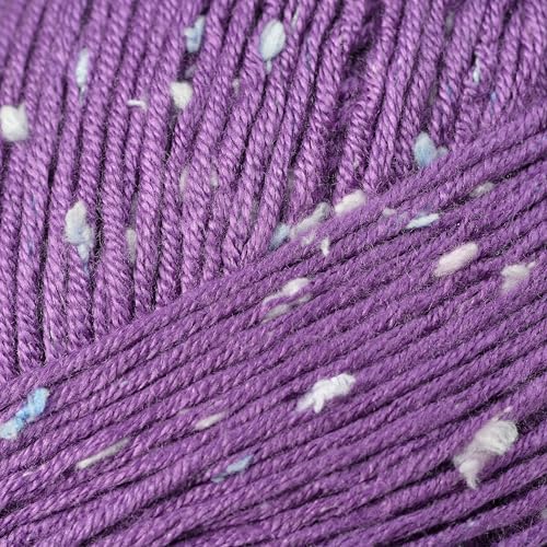 Loops & Threads Flecks Yarn - Yarn for Knitting, Crochet, Weaving, and Arts & Crafts - Purple, Acrylic Blend, 6.53 oz