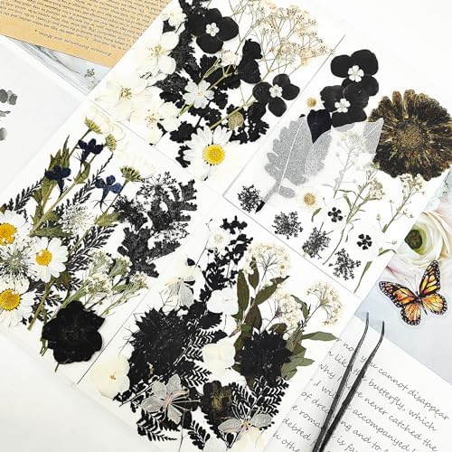 MIKIYA 84Pcs Black Dried Pressed Flowers for Resin Molds, Bulk Real Natural Dry Floral for DIY Art Crafts, Epoxy Jewelry, Candle, Soap Making, Nails Decor, Phone Case