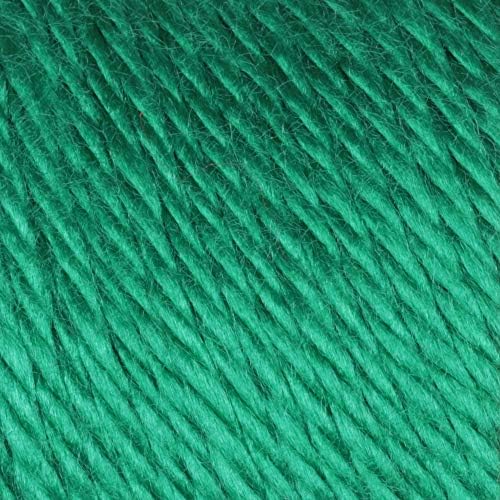 Caron Simply Soft Solids Yarn, 6oz, Gauge 4 Medium, 100% acrylic - Green - Machine Wash & Dry