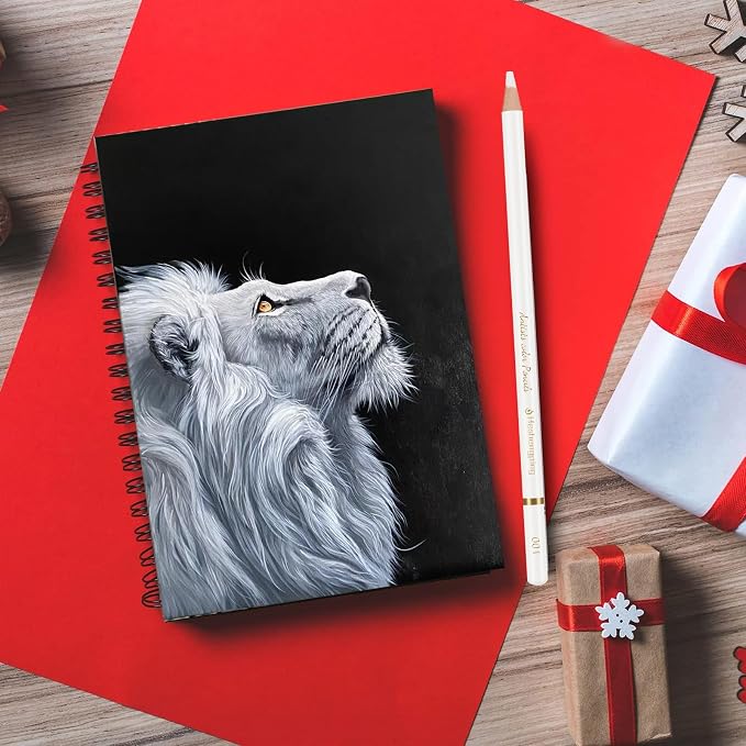 White Color Pencils, Professional 6 Pack Draw Pencil for Sketching, White Sketch Pencils for Sketching, Shading, Blending, Chalk for Beginners & Artists, Art Supplies for Drawing and Highlighting
