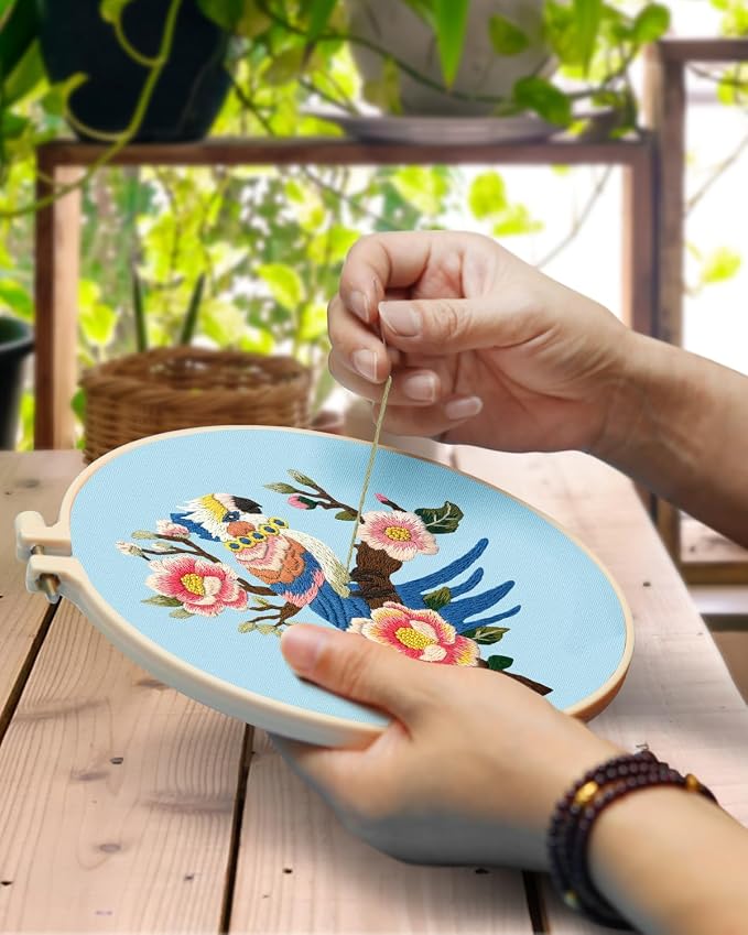 TINDTOP Embroidery Kit for Adult, Parrot Embroidery Stitch Practice kit