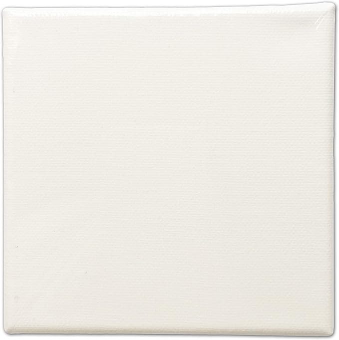 LWR CRAFTS Stretched Canvas 5" X 5" Pack of 6