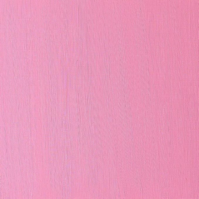 Winsor & Newton Winton Oil Color, 37ml Tube, Permanent Rose | High-quality pigments, Durable, Lightfast, Permanent, Uniform Consistency, Great Pigment Load