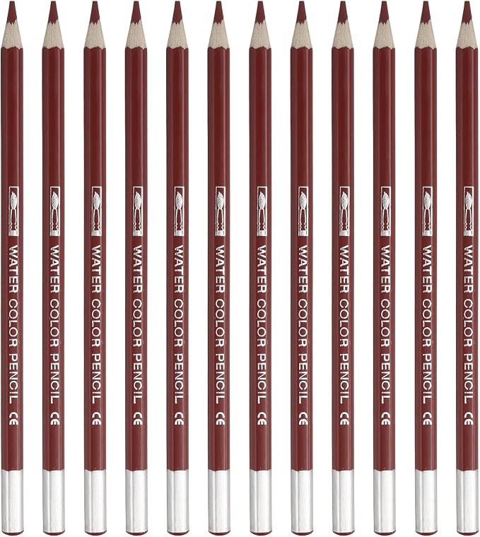 PATIKIL Watercolor Pencil, 12Pcs Water Soluble Pencils for Blending, Coloring, Sketch Drawing, Painting, Brown