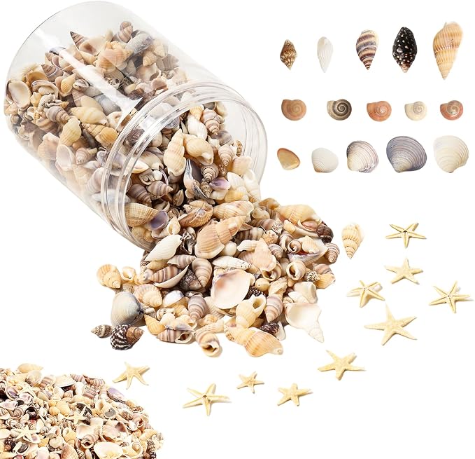 1200 Pieces Tiny Sea Shells Small Natural Starfish Mixed Ocean Beach Spiral Seashells for Home Decorations,Wedding Decor,Candle Making,Beach Theme Party,DIY Crafts and Vase Filler